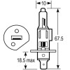 Blister Lampe H1 12V 55W 12V 55W - pour tracteur Renault