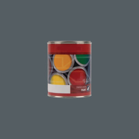 Peinture Pot  - 1 litre - Doosan, gris 1L - Ref: 747508KR