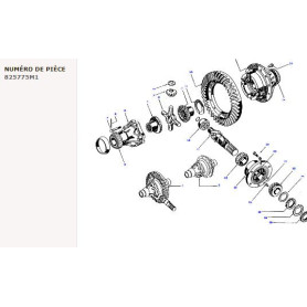 Écrou hexagonal - pour Massey Ferguson - Adaptable - Ref origine : 825775M1