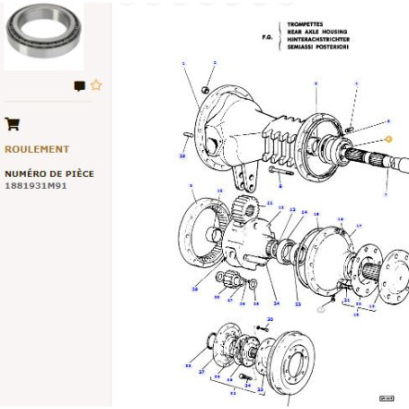 Roulement Interieur - pour Massey Ferguson - Adaptable - Ref origine : 1881931M91