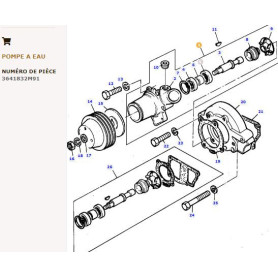 Pompe à eau - pour Massey Ferguson - Adaptable - Ref origine : 3641832M91