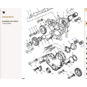 Pignon D'Arbre A Cames - Landini, Massey Ferguson - Ref: VPA5029
