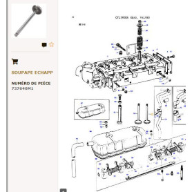 Soupape d'échappement p/ Perkins - Massey Ferguson - Ref: 31431591N