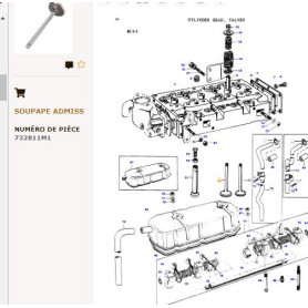 Soupape d'admission p/ Perkins - Massey Ferguson - Ref: 31431281N