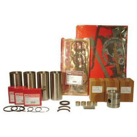 Kit moteur - pour Massey Ferguson