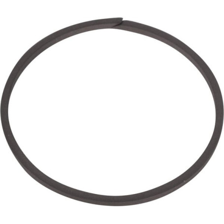 Sealing ring