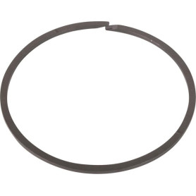 Segment ring - Claas, Renault - Ref: 0011026181