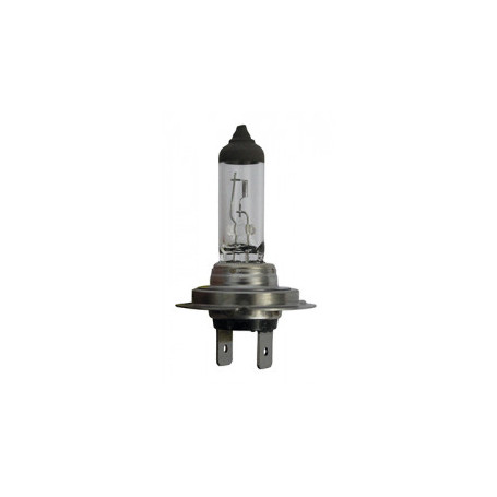 AMPOULE H7 12V 55W