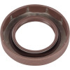 Oil seal