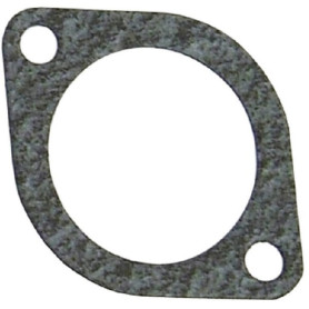 Joint De Carter Thermostat (x10) - FORD, New Holland - Ref: VPE9637