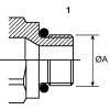 Coupleurs, 1/2"-3/4" ORB femelle CPV