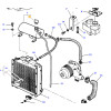 BOUCHON RADIATEU  - pour MASSEY - Réf 180224M92