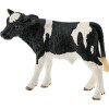 Veau Holstein