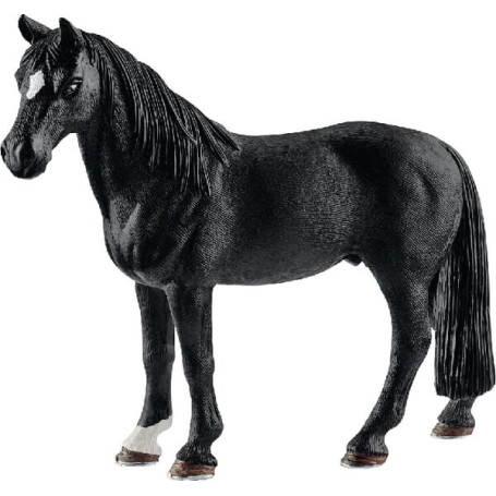 Hongre Tennessee Walker